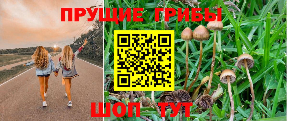 Псилоцибиновые грибы мухоморы  магазин продажи наркотиков  Зерноград  Вход с VPN 
