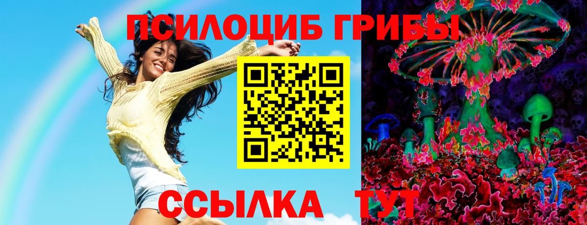 Псилоцибиновые грибы GOLDEN TEACHER Зерноград